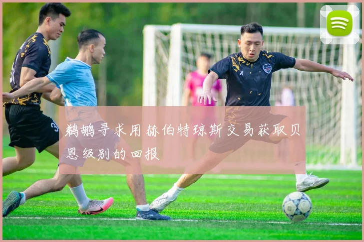 鹈鹕寻求用赫伯特琼斯交易获取贝恩级别的回报